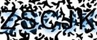 grafischer Sicherheitscode