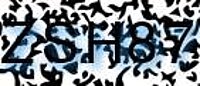 grafischer Sicherheitscode