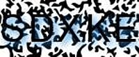 grafischer Sicherheitscode