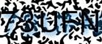 grafischer Sicherheitscode