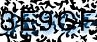 grafischer Sicherheitscode